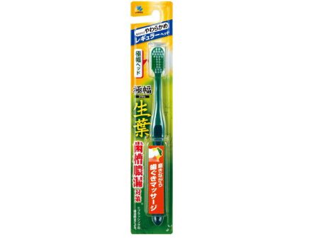 Fresh Leaf Extra Wide Brush, Regular, Soft, 1 Piece on Sale